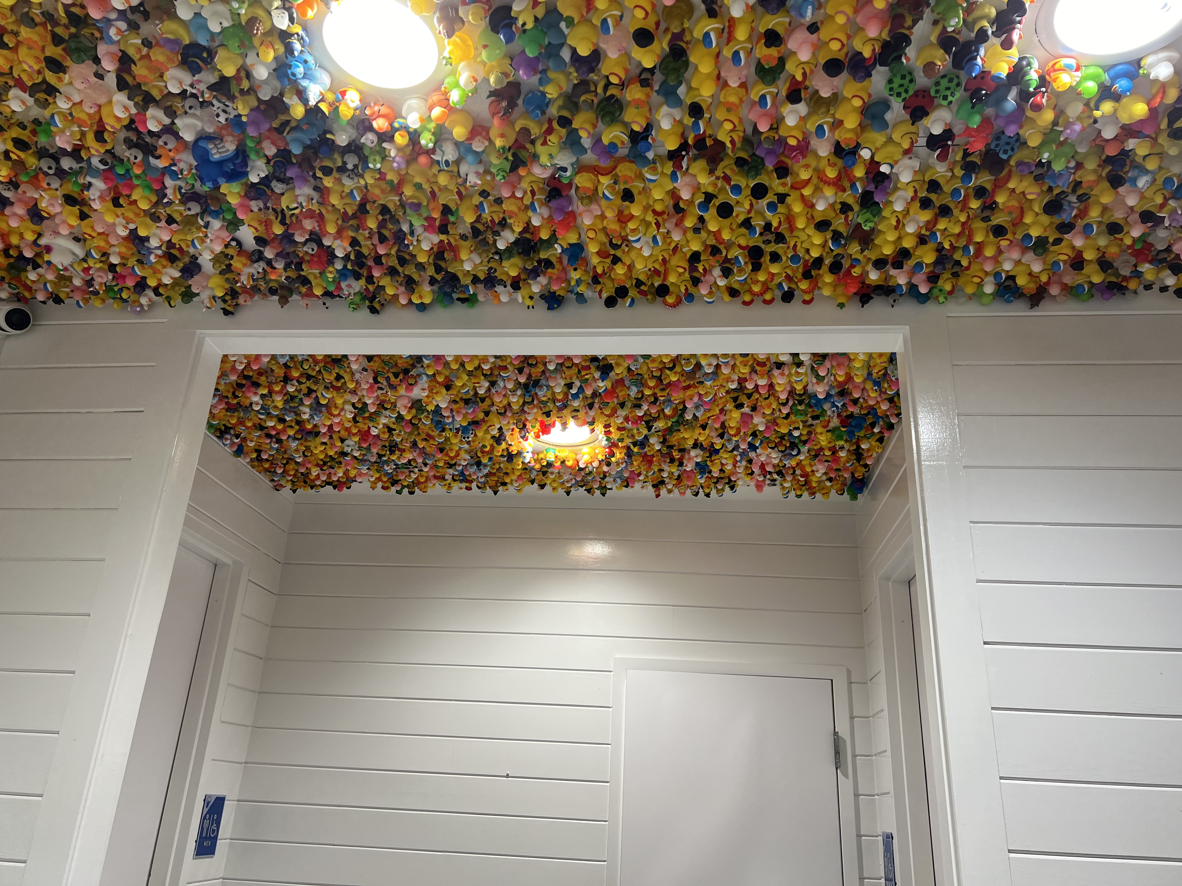 ./2024/10 - Myrtle Beach/IMG_3190.jpg